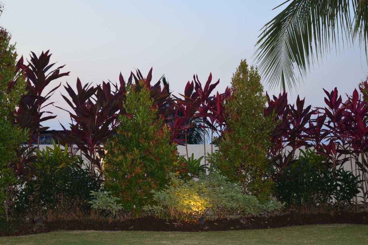 Lovina Villa Putih מראה חיצוני תמונה